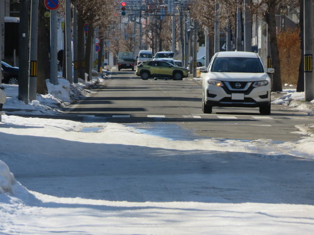 雪解けの道