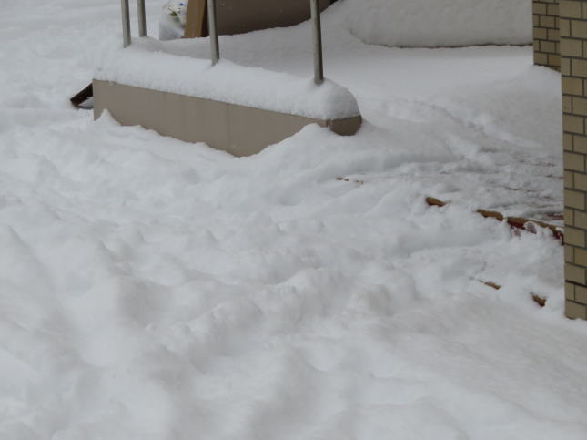 玄関前の積雪
