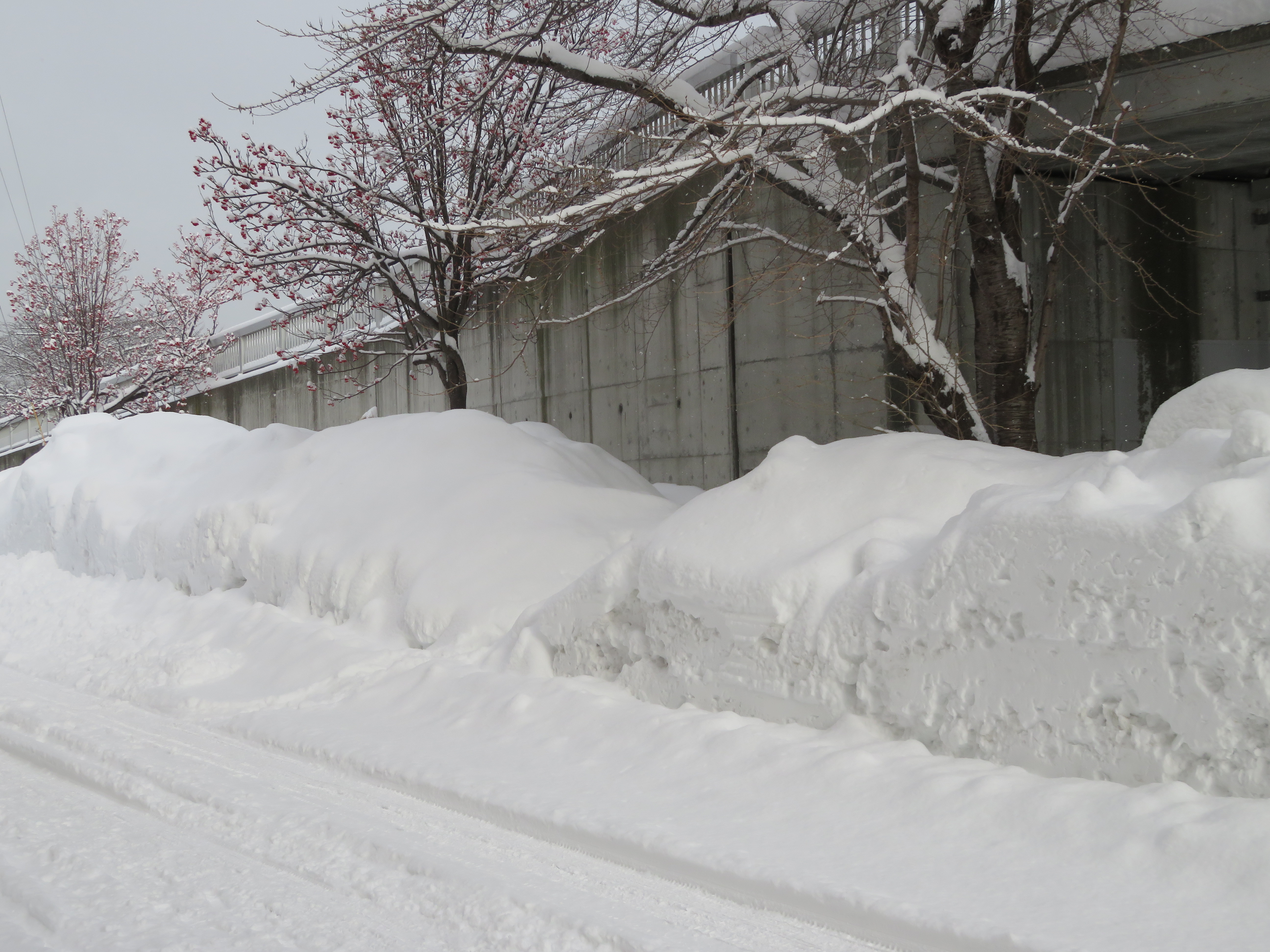 Ｔ字路の雪山