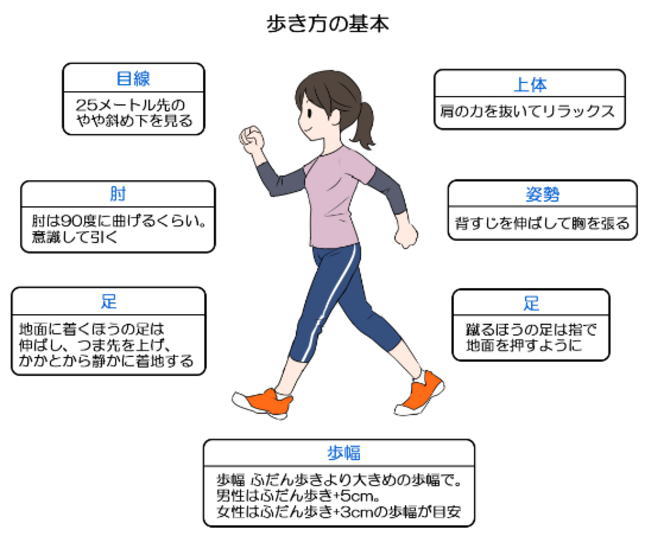 歩き方の基本