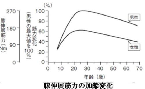 膝伸展筋力加齢変化